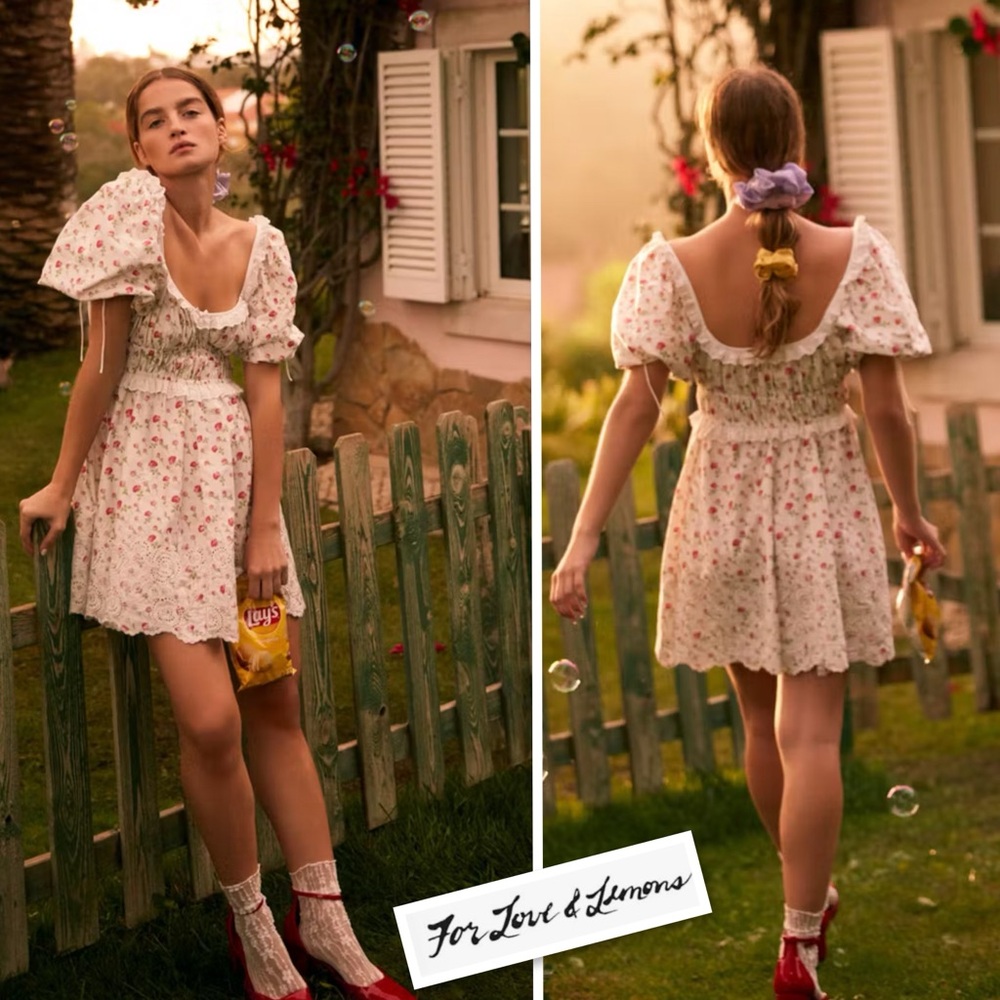 FOR LOVE & LEMONS NWT JACKSON COTTON EMBROIDERED MINI DRESS IN FLORAL PRINT S - Picture 3 of 16